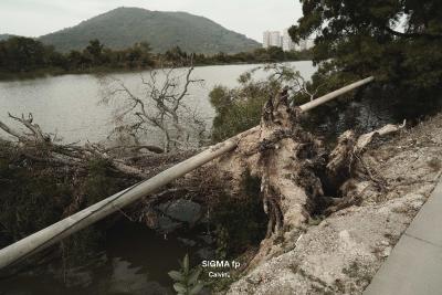 "Your first 10,000 photographs are your worst."你最初的一万张照片都是最差的