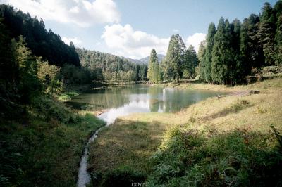 我停止了追逐“进步”